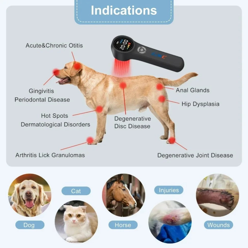 Premium Cold Laser Therapy Device for Pain Relief | 4x808nm & 16x650nm Infrared Light Therapy | Handheld Massager for 