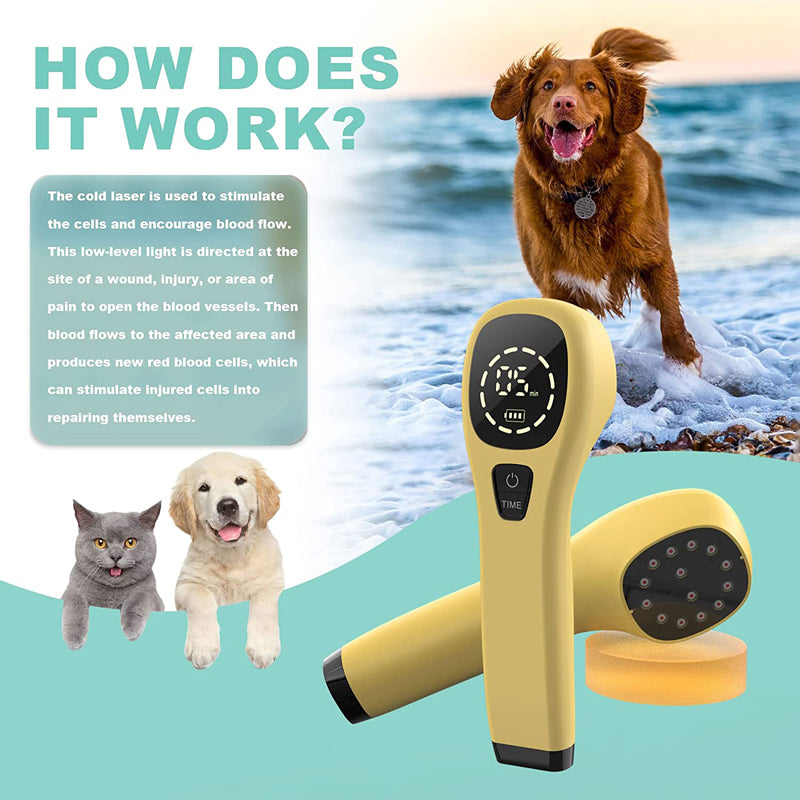 Premium Cold Laser Therapy Device for Pain Relief | 4x808nm & 16x650nm Infrared Light Therapy | Handheld Massager for 