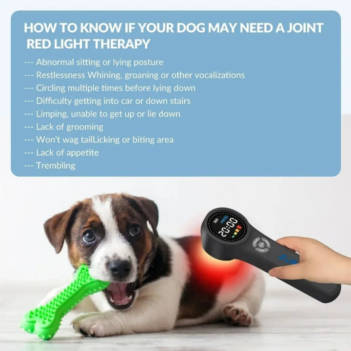 Premium Cold Laser Therapy Device for Pain Relief | 4x808nm & 16x650nm Infrared Light Therapy | Handheld Massager for 